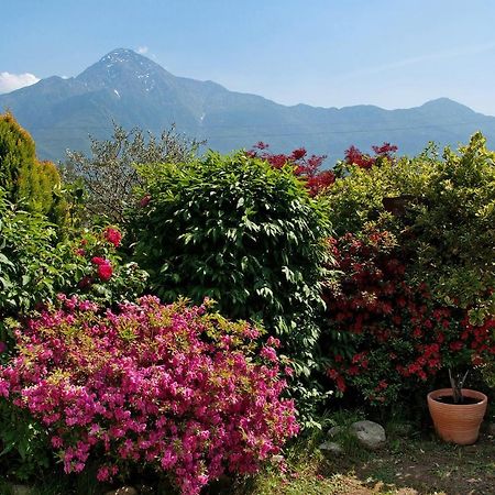 Casa Vacanze Al Boschetto Poncetta Exteriör bild