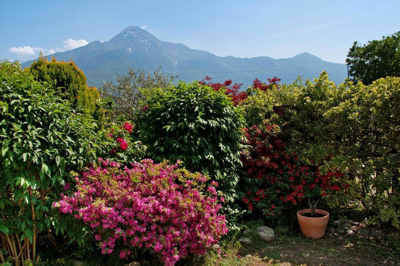 Casa Vacanze Al Boschetto Poncetta Exteriör bild